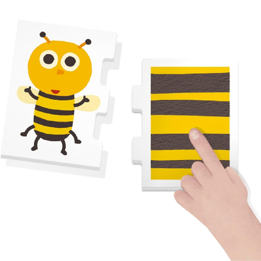 Touch & Observe - Toca y Observa Juguete Educativo