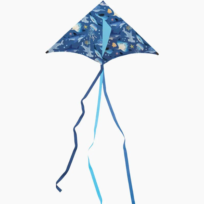 Kite/Shark Reef / Cometa