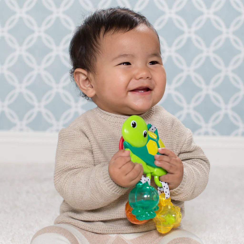 Juguete que se Guinda Tortuga