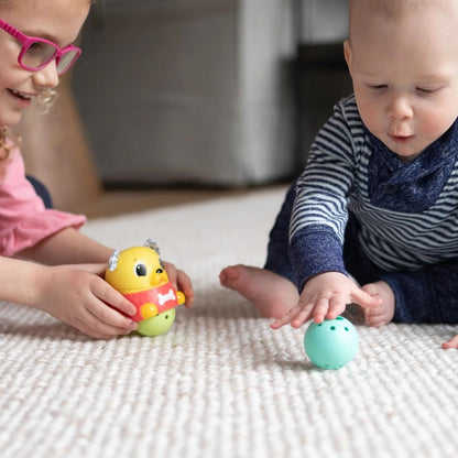 Cachorro Crawl and Chase