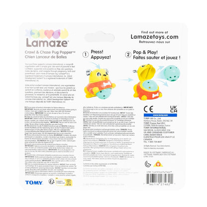 Cachorro Crawl and Chase