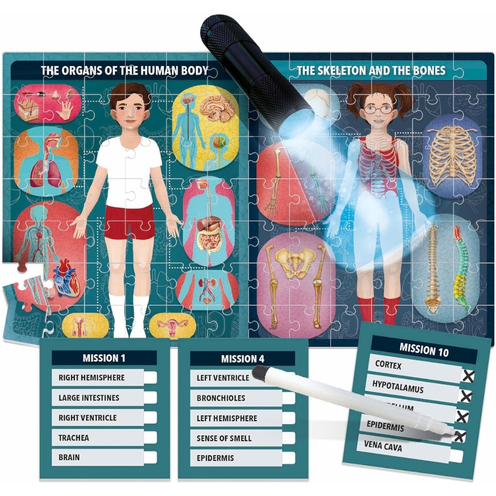 El Cuerpo humano bajo Rayos X - The Human Body Under X Ray