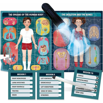 El Cuerpo humano bajo Rayos X - The Human Body Under X Ray
