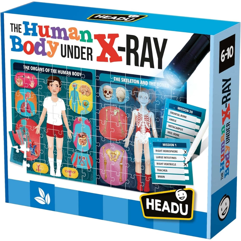 El Cuerpo humano bajo Rayos X - The Human Body Under X Ray