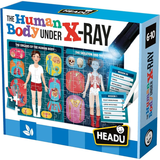 El Cuerpo humano bajo Rayos X - The Human Body Under X Ray