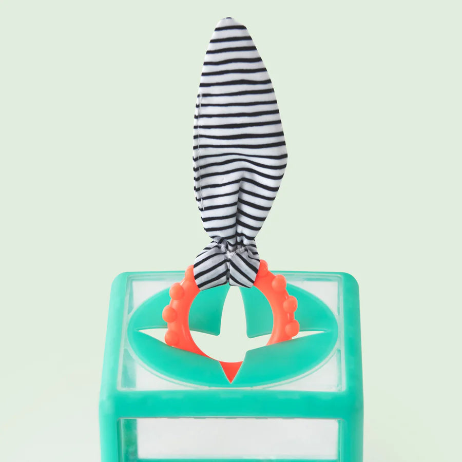 Rainbow Ring Drop - 12m+