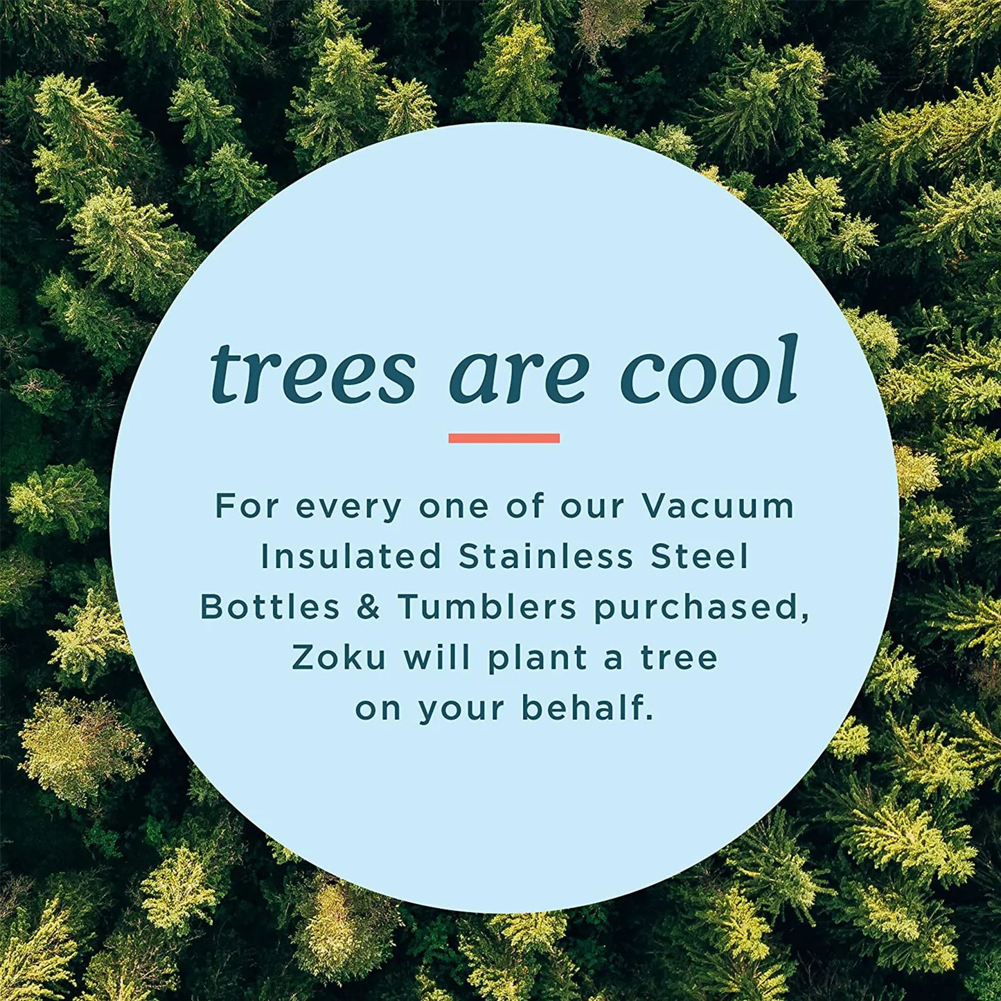 Termo Acero Inoxidable 18 Oz