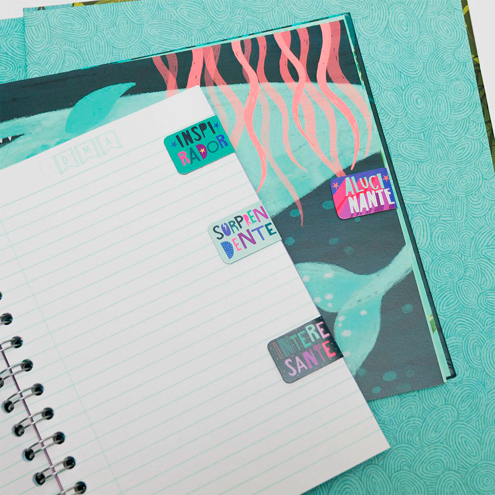 Imanes Separadores - Dinosaurios