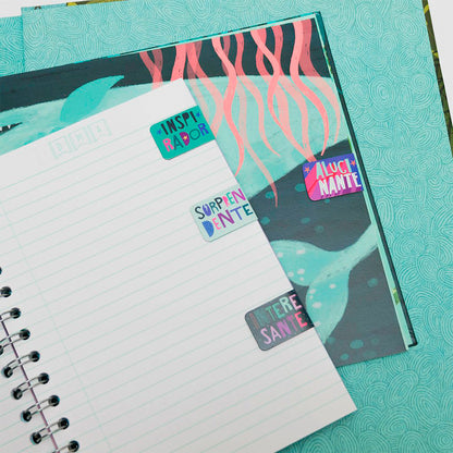 Imanes Separadores - Dinosaurios