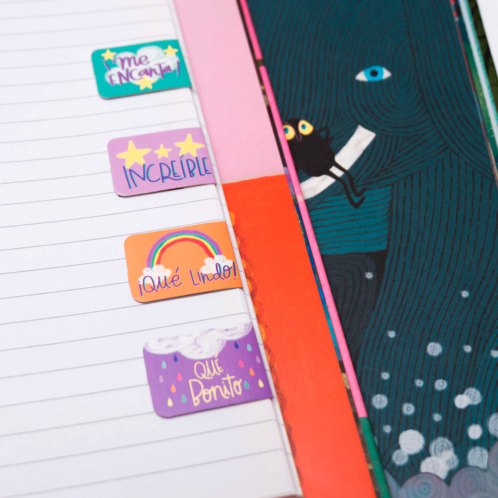 Imanes Separadores - Dinosaurios