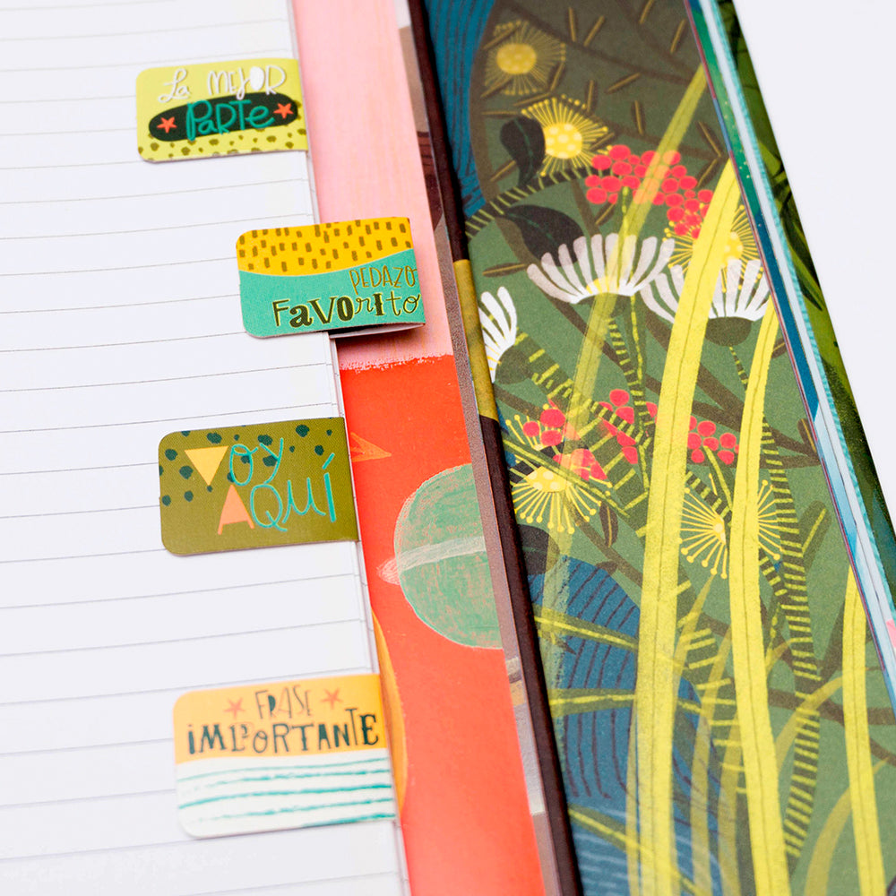 Imanes Separadores - Dinosaurios