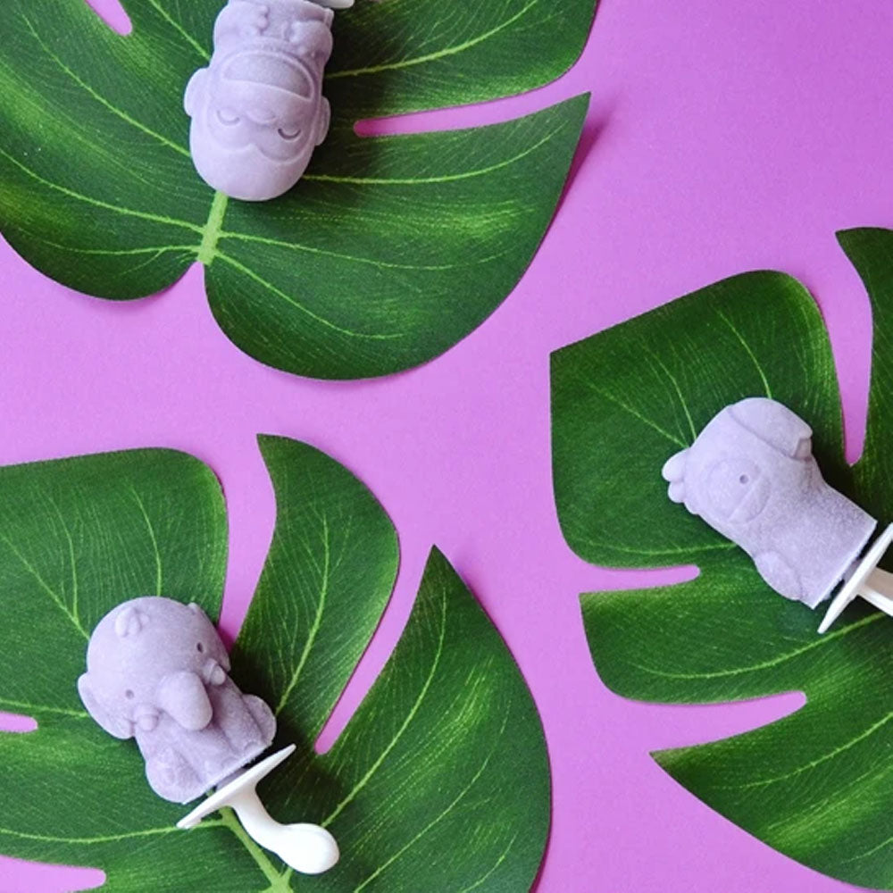 Molde de Paletas - Safari - Miniatura