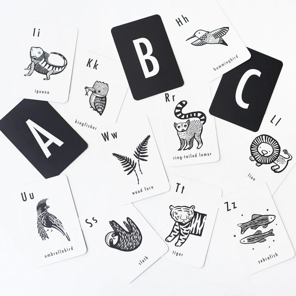 Tarjetas Blanco - ABC Distintos Modelos